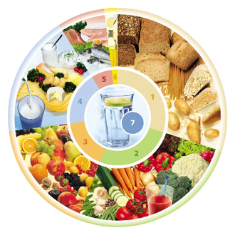 DGE-Ernährungskreis, Quelle: Deutsche Gesellschaft für Ernährung e. V.
