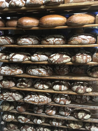 frisch gebackenes Brot von der Landbäckerei Brack